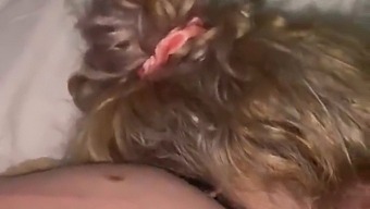 Naj Ti Sesam Tiča In Ga Spravim V Ekstazo